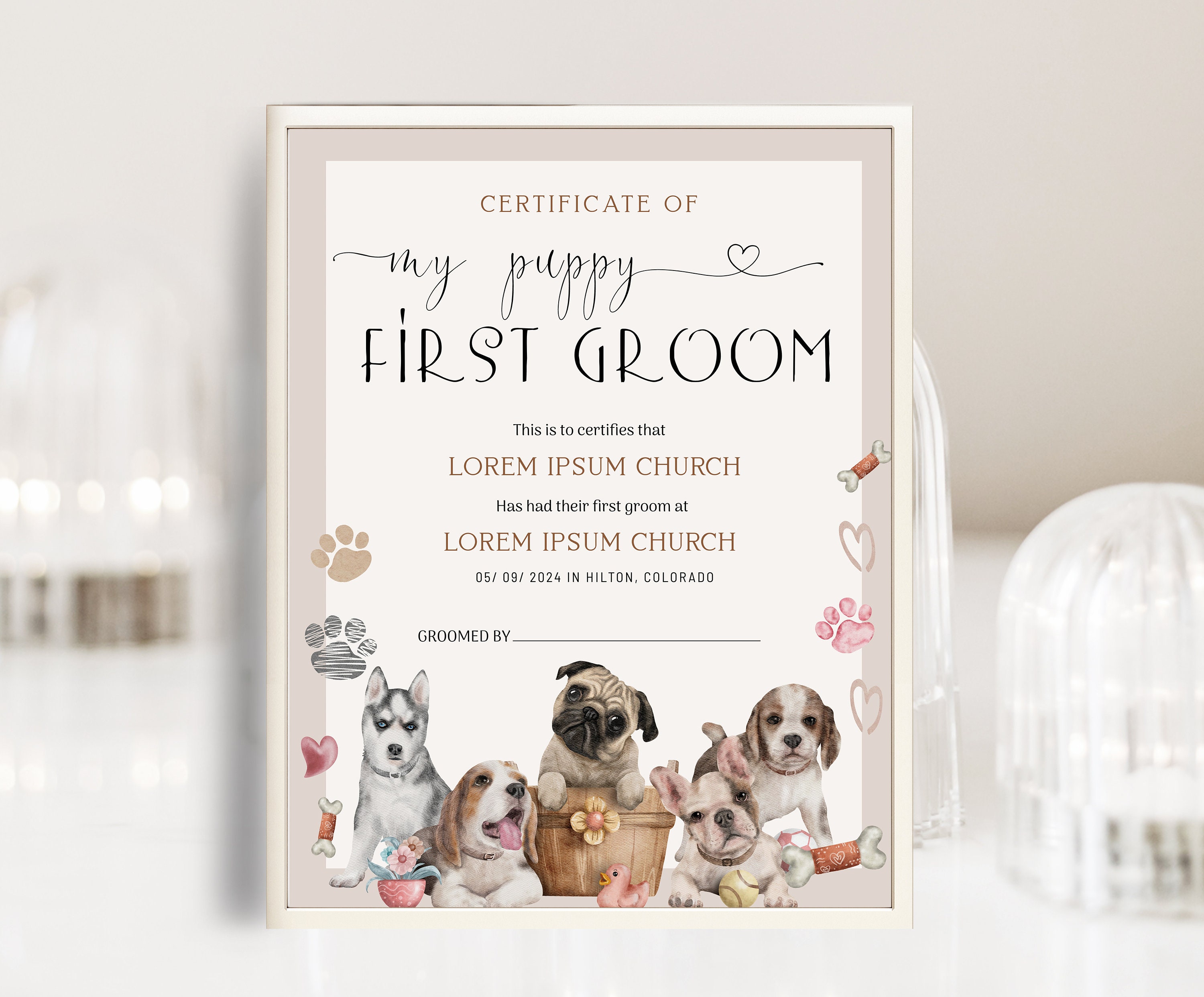 When Should You First Groom Your Puppy