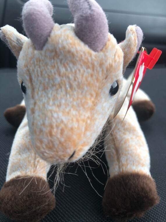 goatee beanie baby