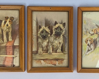 Three Old Vintage Framed Arthur Wardle Art Deco Dog Prints Under Glass, 1930s Thirties, Rough Fox Terrier Cairn Norwich Hound Hunting Dogs