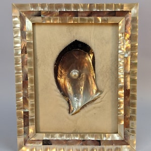 May include: A framed picture of a pearl inside an oyster shell. The frame is made of iridescent mother of pearl tiles.