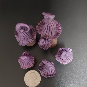May include: Six purple and brown miniature mushroom figurines with detailed textures. The mushrooms are arranged in a cluster on a black surface.
