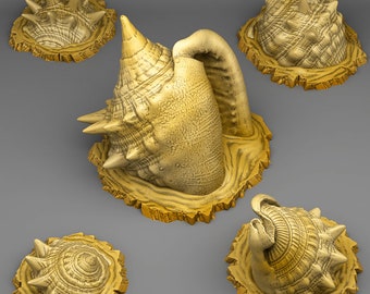 Giant Hermit Crab Shells - Set of 5 - PrintYourMonsters - Resin 3d Printed