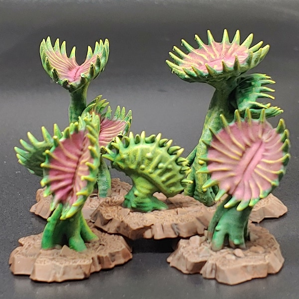 Carnivorous Plant Etsy