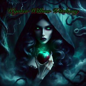 May include: A woman with long black hair and green eyes wears a black hooded cloak. She holds a red apple with a green glow in her hand. The text "Wynter Willow Witchery" is above her head.