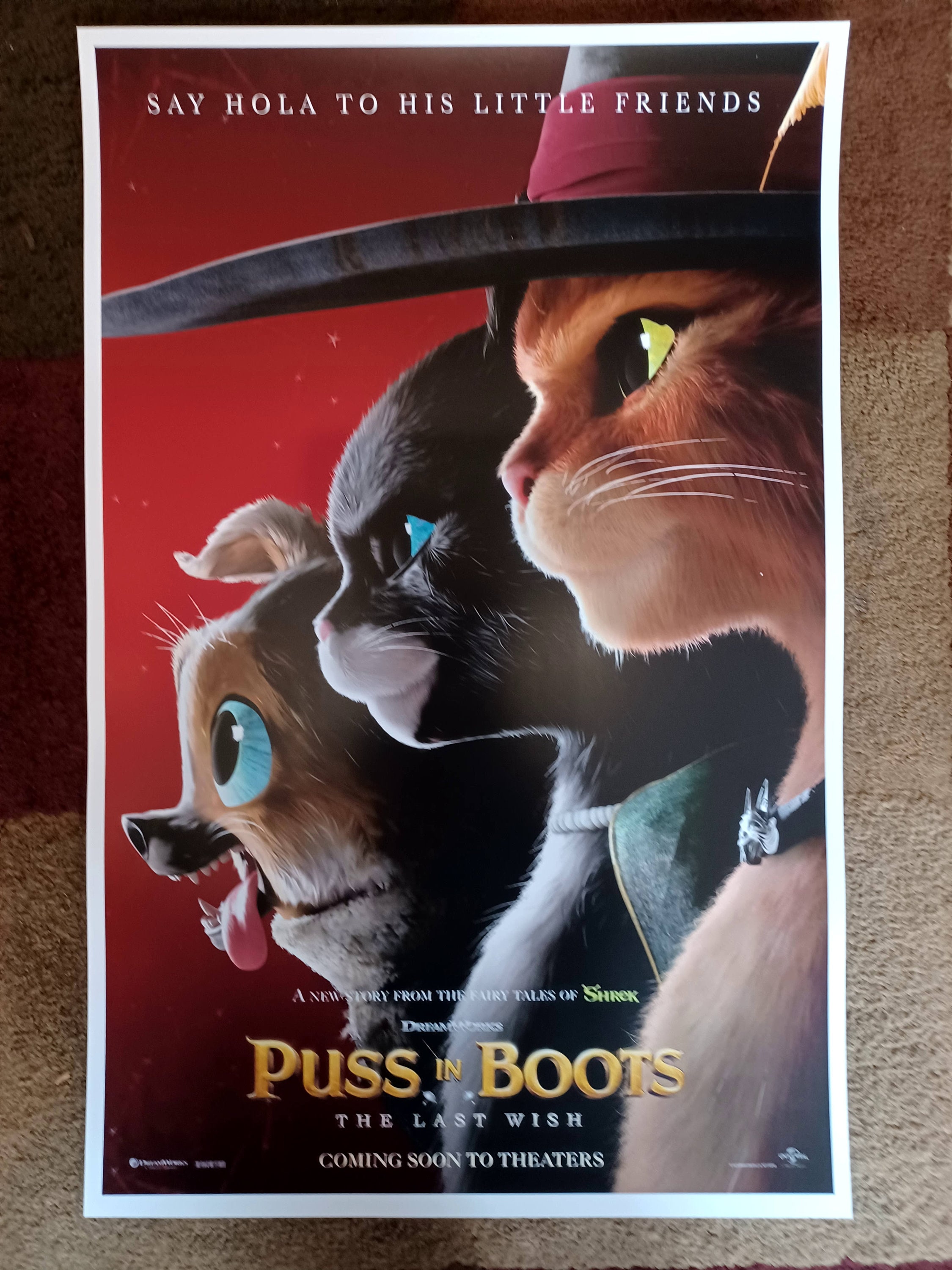 Puss in Boots Last Wish ( 11