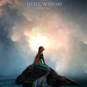 The Little Mermaid ( 11&quot; x 17&quot; ) Movie Collector&#39;s Poster Print B2G2F