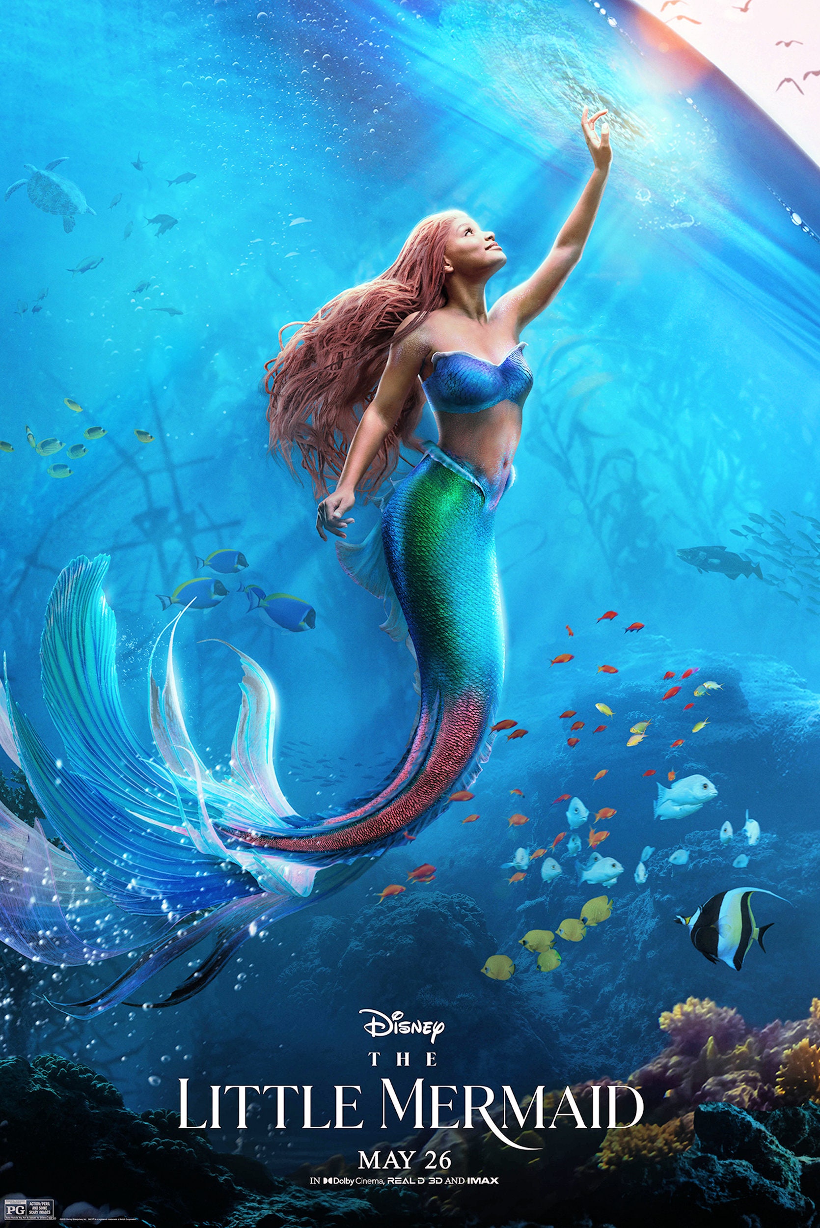 The Little Mermaid ( 11