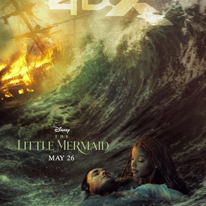 Disney The Little Mermaid ( 11" x 17" ) Collector's Poster Print B2G2F