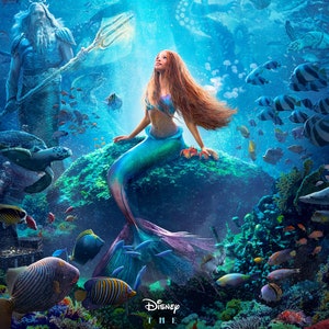 The Little Mermaid ( 11" x 17" ) Collector's Poster Print -( T3 ) B2G1F