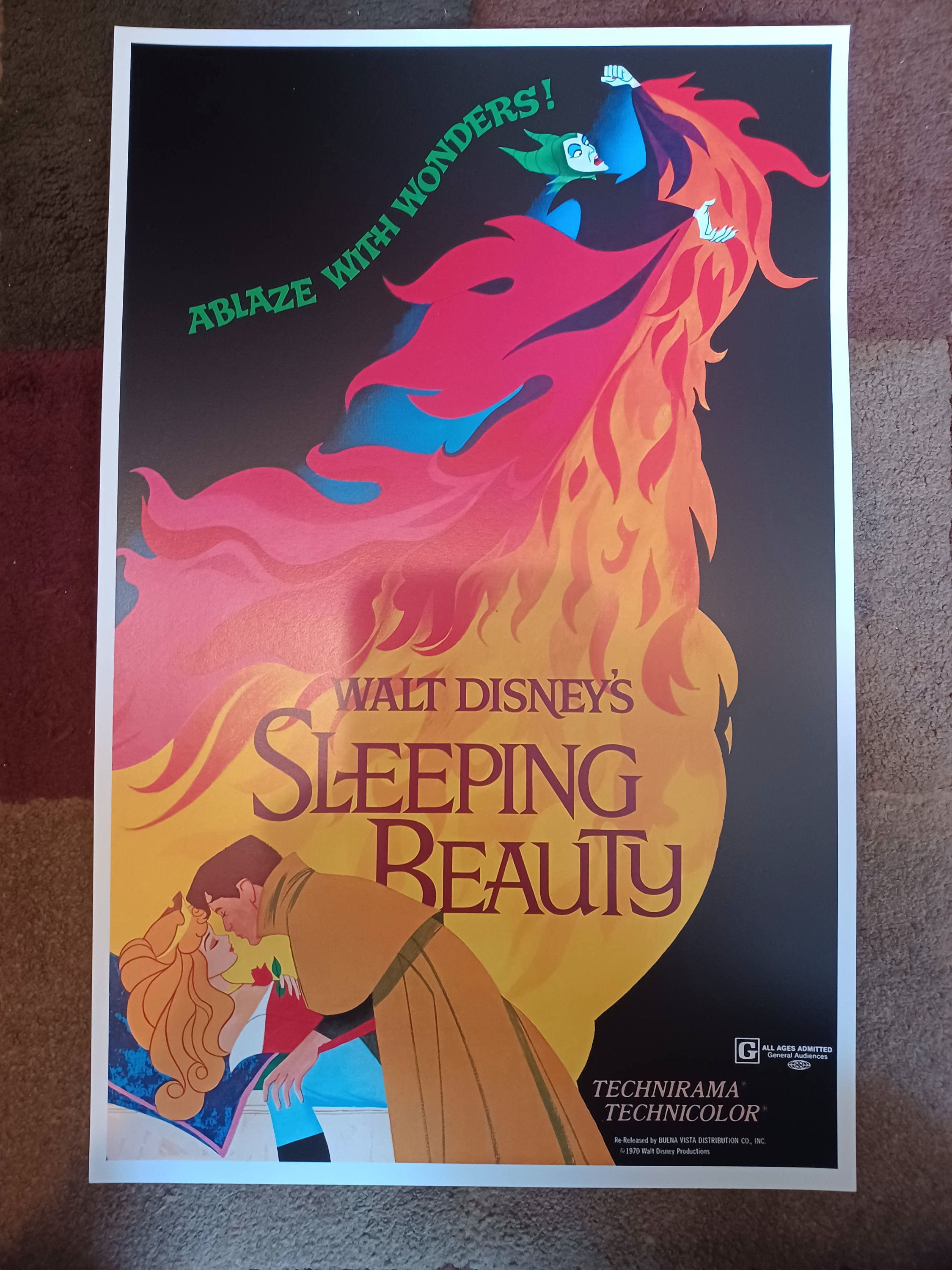 Disney Sleeping Beauty 11