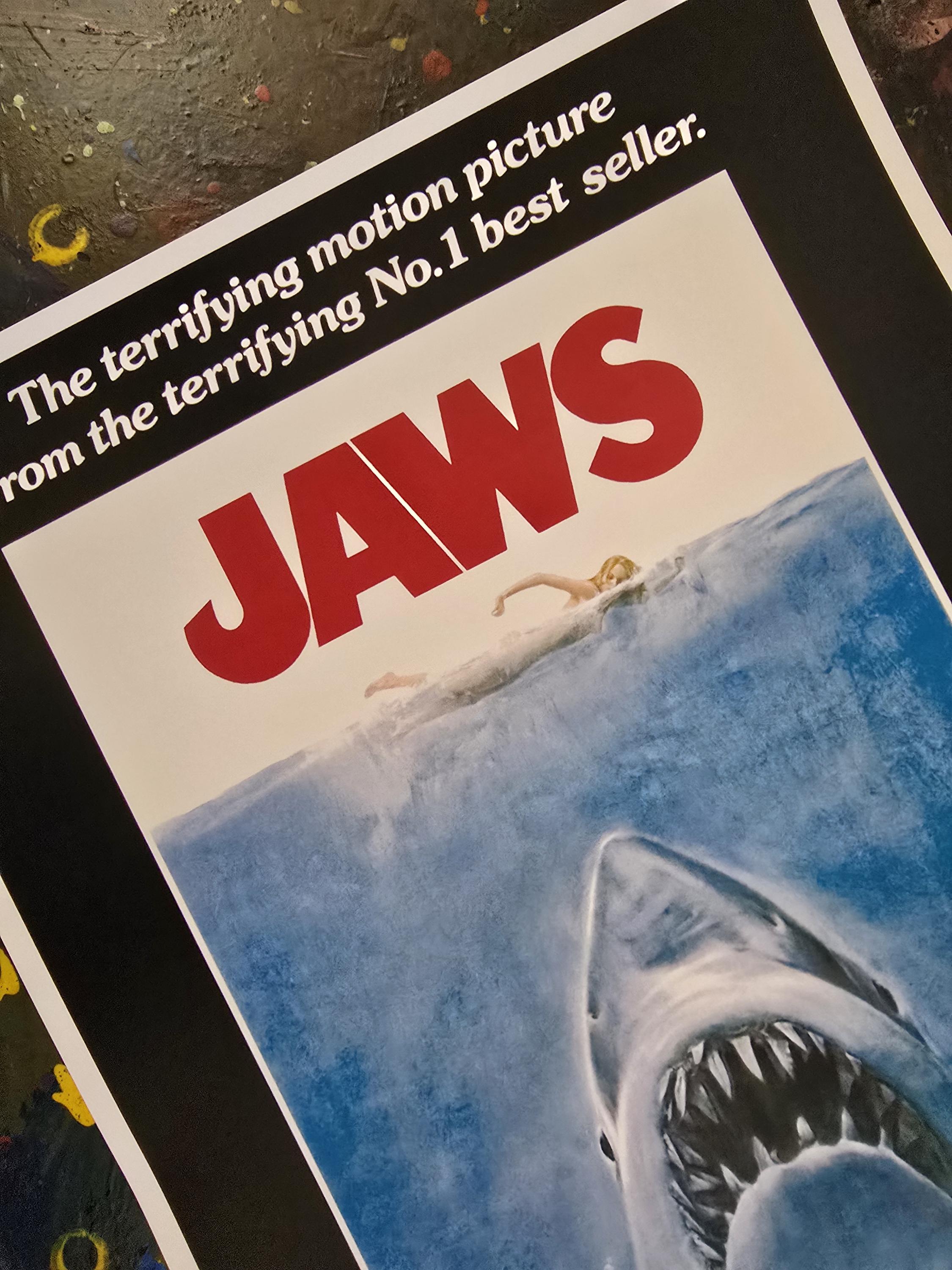 JAWS 11