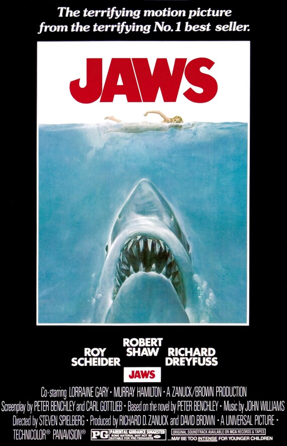 JAWS 11