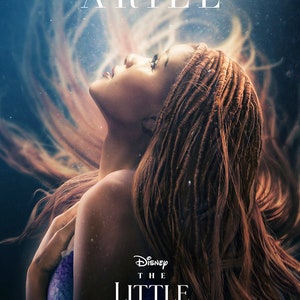 The Little Mermaid ( 11&quot; x 16&quot; ) Collector&#39;s Poster Print  B2G2F