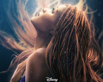 The Little Mermaid ( 11" x 16" ) Collector's Poster Print  B2G2F