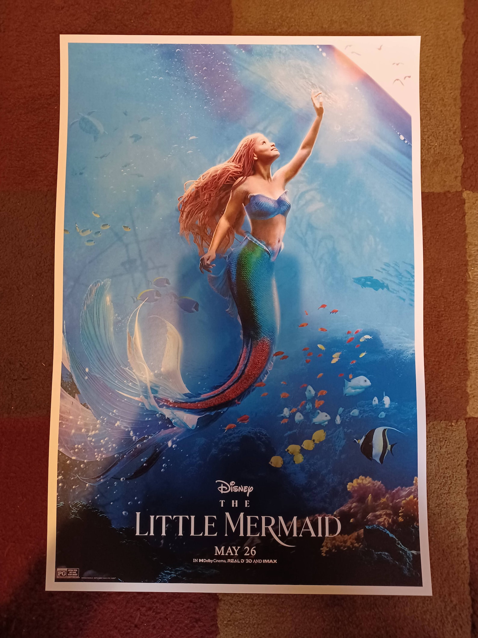 The Little Mermaid ( 11" X 16" ) Collector's Poster Print B2G2F - Etsy