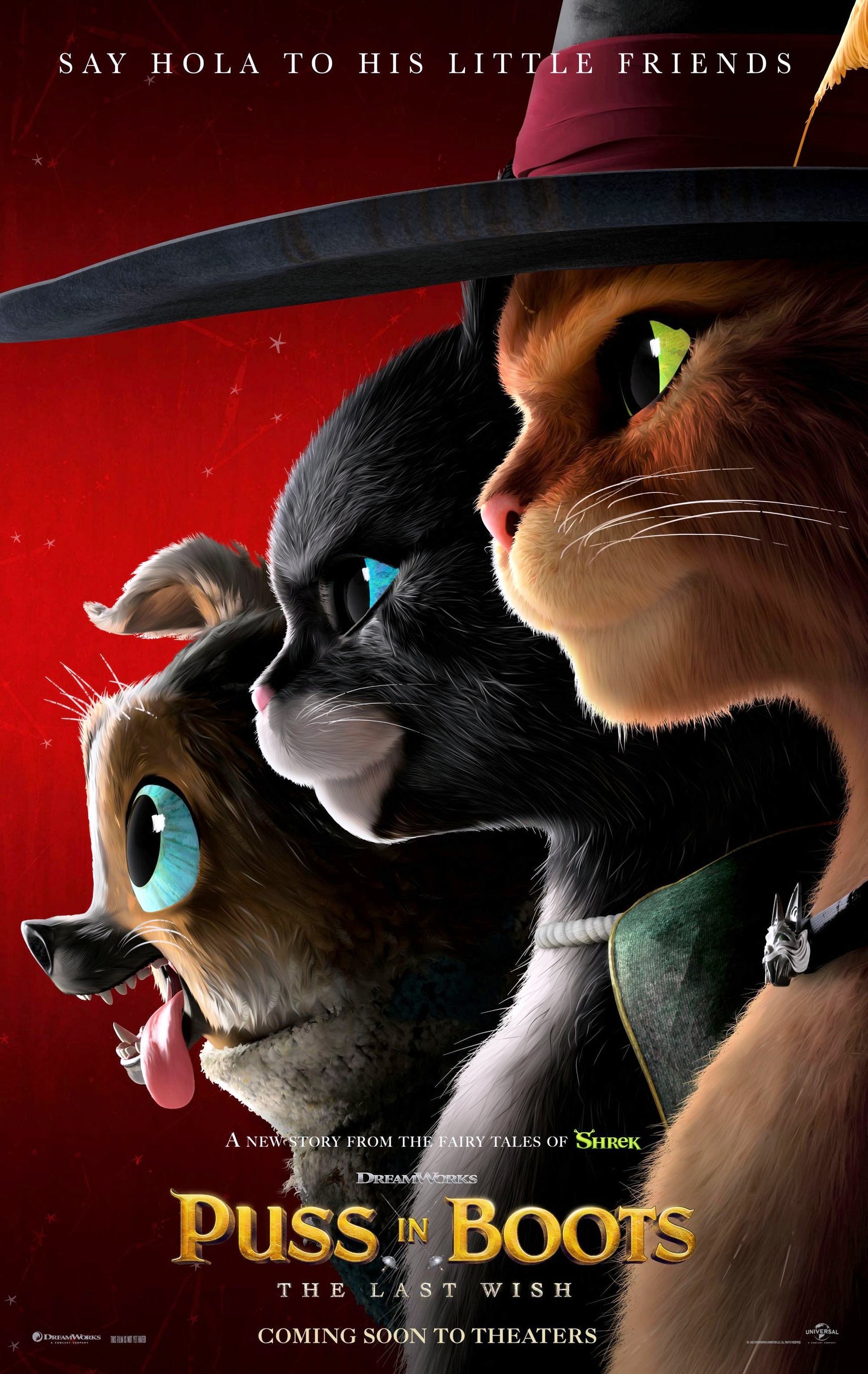 Puss in Boots Last Wish ( 11