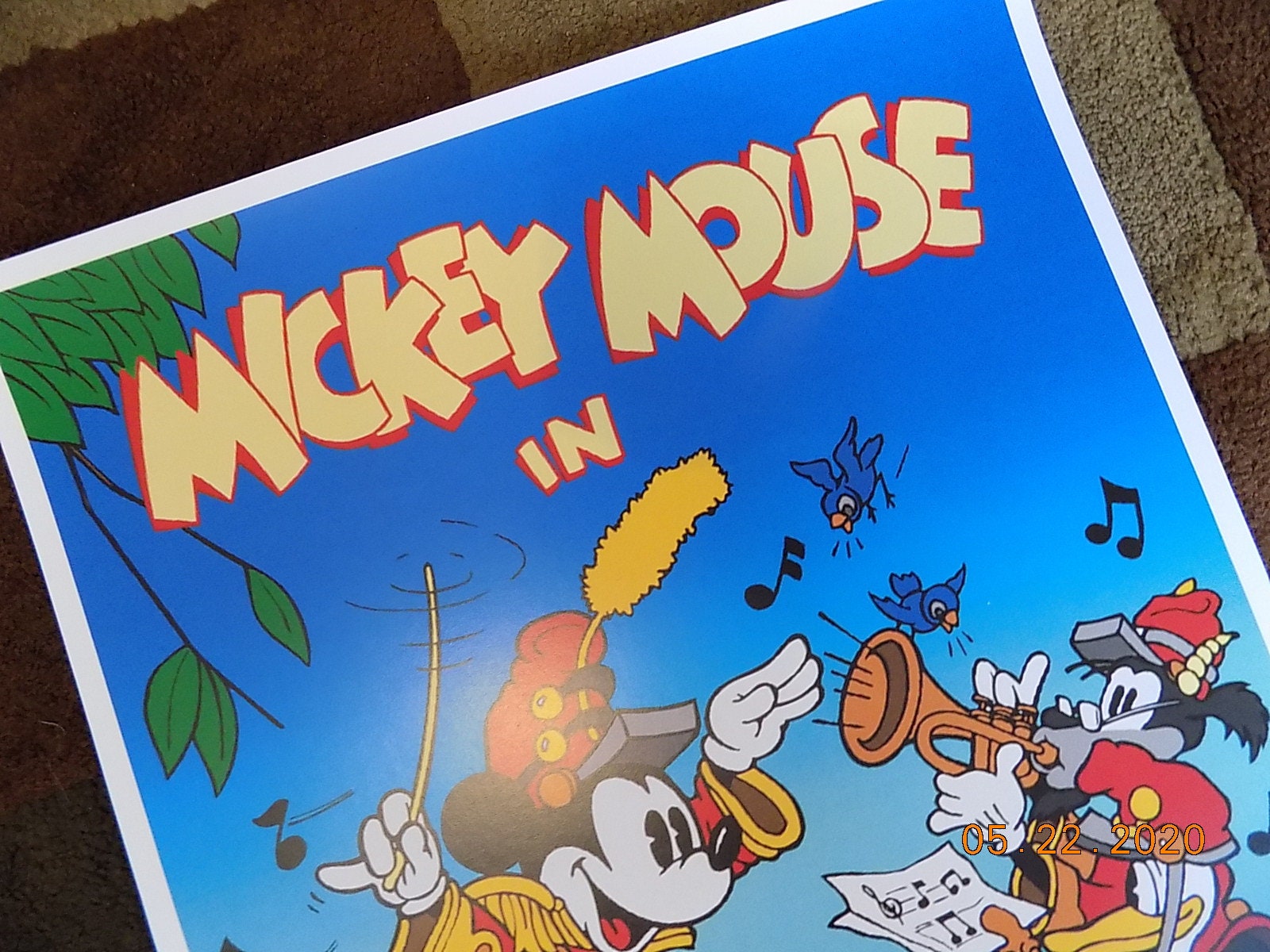 Disney Micky Band Concert 11