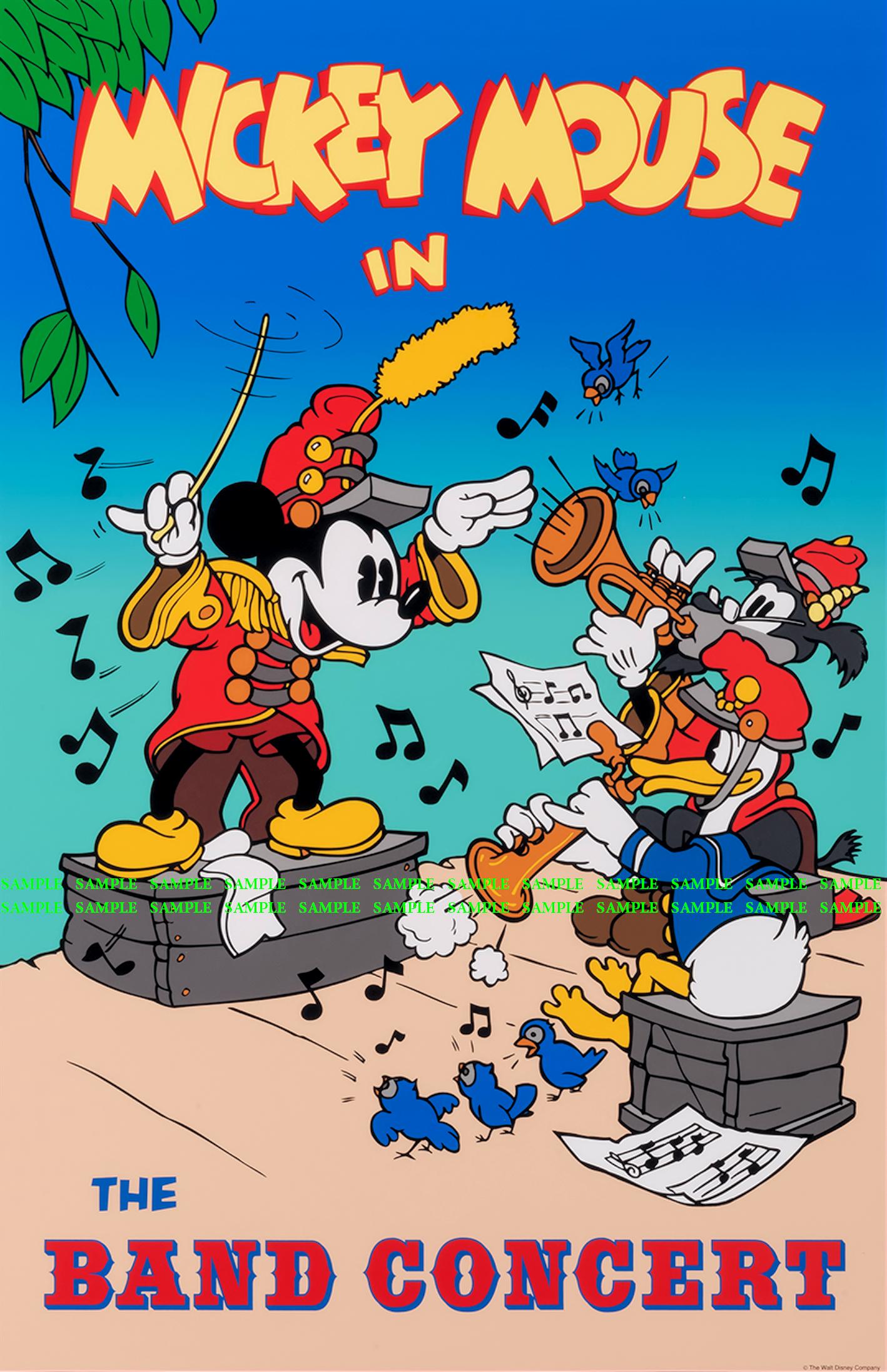 Disney Micky Band Concert 11