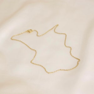 May include: A delicate gold chain necklace with a lobster clasp closure.
