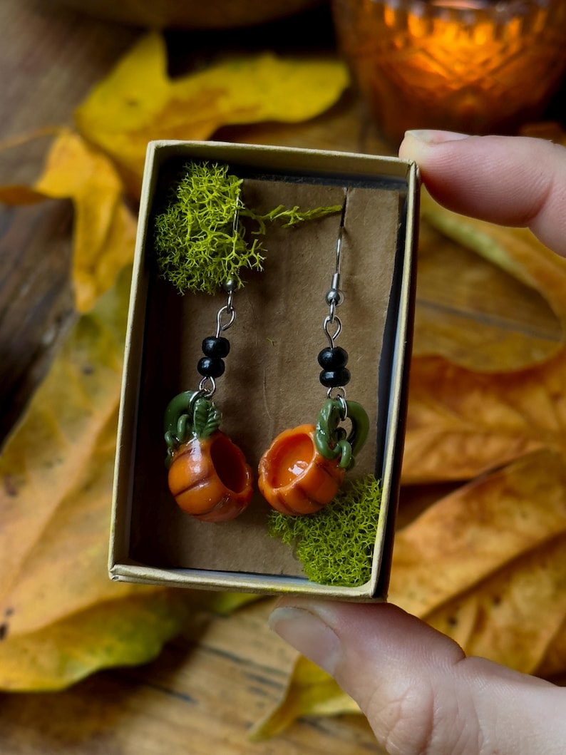 May include: A pair of pumpkin-shaped earrings with green stems and black beads hanging from silver hooks. The earrings are displayed in a small box with green moss.