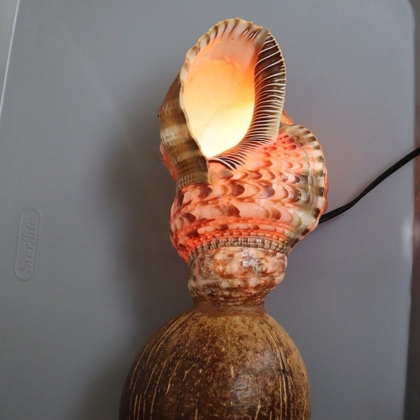 Conch Shell Lamp - Etsy