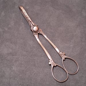 Vintage Silverplate Grape Shears Thomas Prime