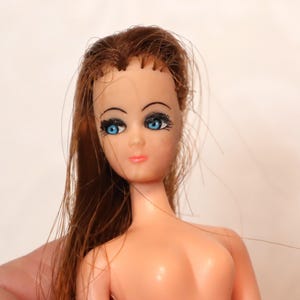Vintage Topper Dawn Doll Long Hair