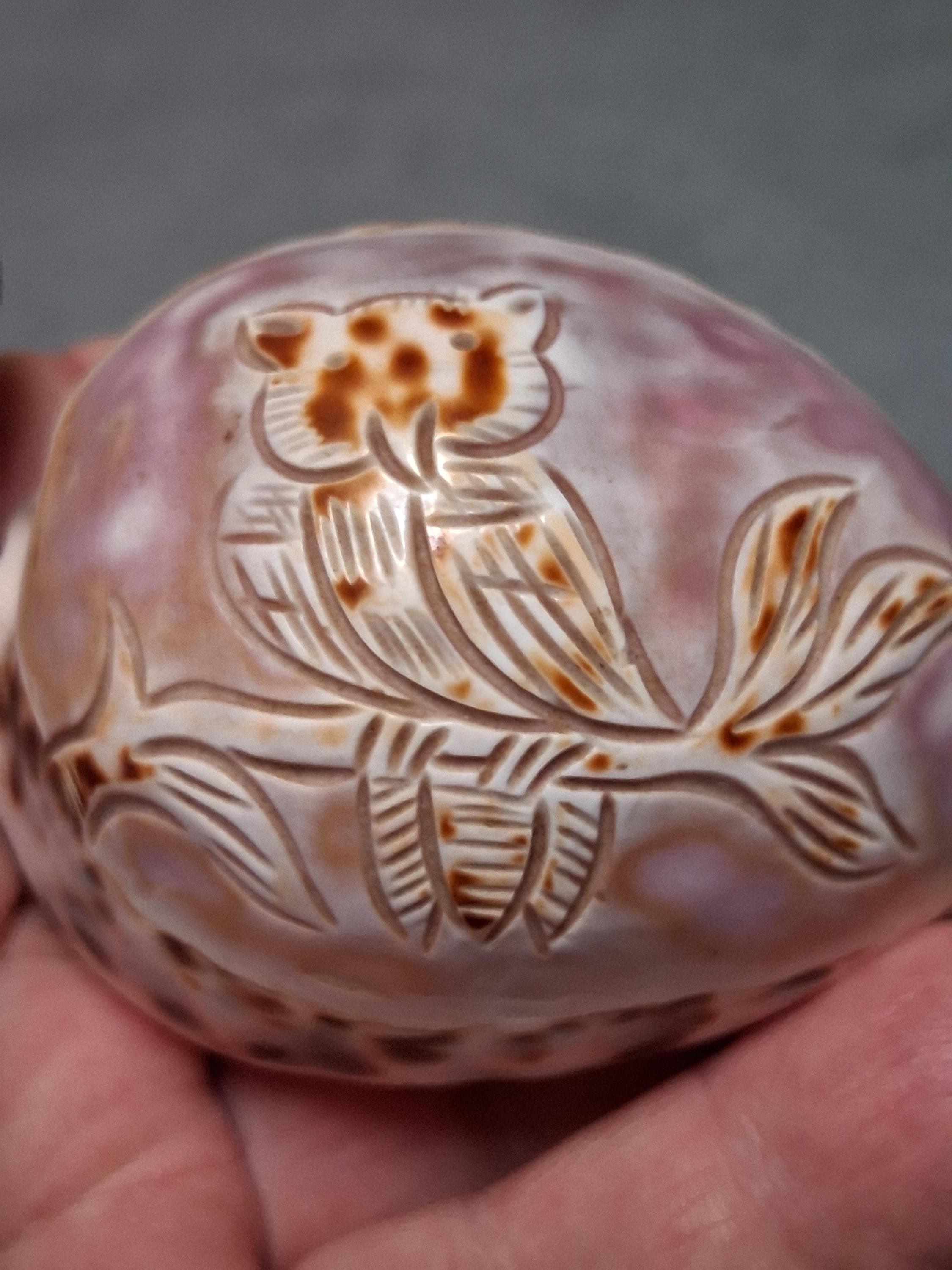 Vintage Carved Owl Seashell