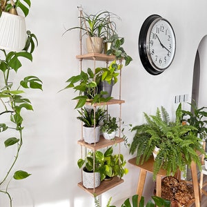 May include: A wooden hanging shelf with four tiers, each holding a potted plant. The shelf is suspended from the ceiling with rope. A clock is on the wall behind the shelf.