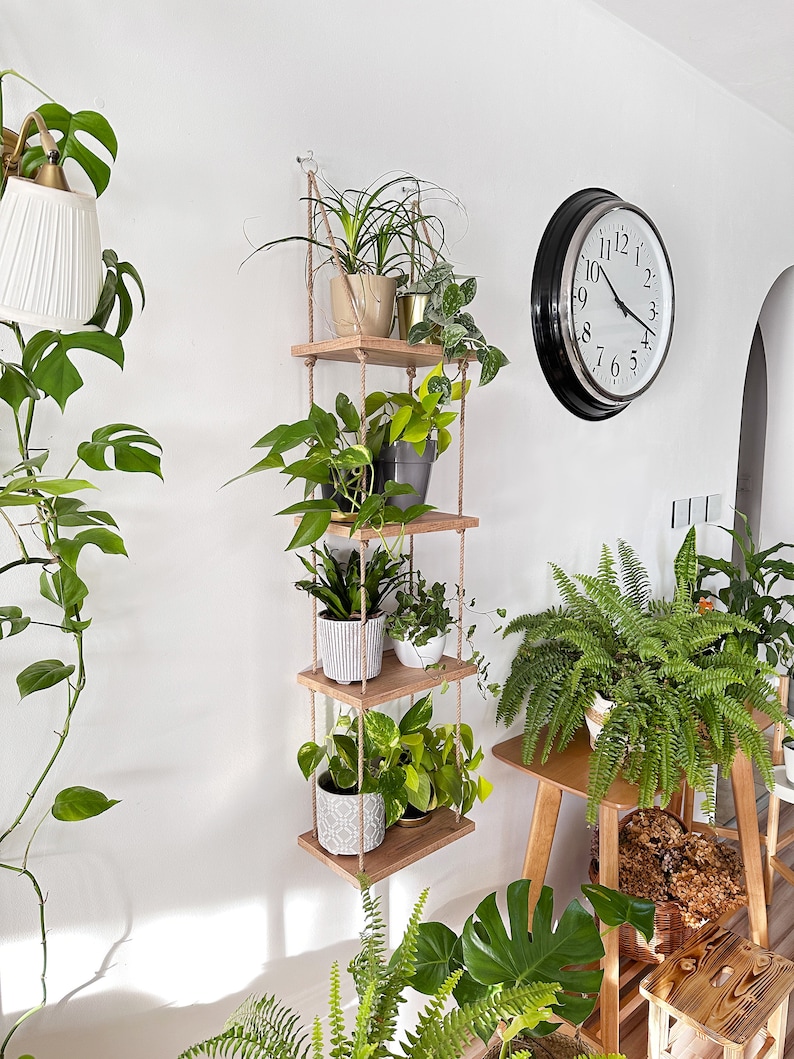 May include: A wooden hanging shelf with four tiers, each holding a potted plant. The shelf is suspended from the ceiling with rope. A clock is on the wall behind the shelf.