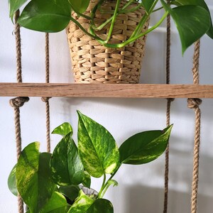 May include: Two wooden shelves with rope hangers, each holding a potted plant. The top shelf has a plant with green leaves in a woven basket pot. The bottom shelf has a plant with green and yellow leaves in a white pot.