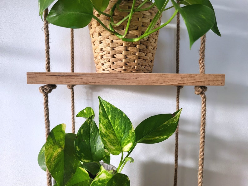 May include: Two wooden shelves with rope hangers, each holding a potted plant. The top shelf has a plant with green leaves in a woven basket pot. The bottom shelf has a plant with green and yellow leaves in a white pot.