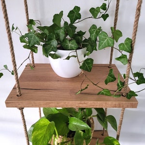 May include: Two wooden shelves hanging from the ceiling with rope. The top shelf has a potted plant with green leaves and a white pot. The bottom shelf has a potted plant with green leaves.