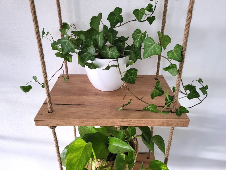 May include: Two wooden shelves hanging from the ceiling with rope. The top shelf has a potted plant with green leaves and a white pot. The bottom shelf has a potted plant with green leaves.