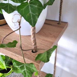 May include: A wooden shelf with two tiers, suspended from the ceiling by thick rope. The shelf is decorated with potted plants, including a leafy green plant in a white pot and a smaller plant in a gray pot.