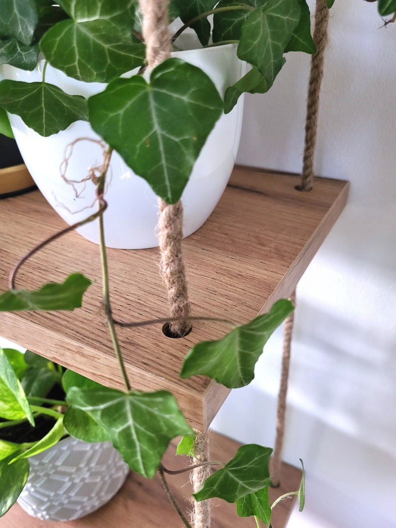 May include: A wooden shelf with two tiers, suspended from the ceiling by thick rope. The shelf is decorated with potted plants, including a leafy green plant in a white pot and a smaller plant in a gray pot.