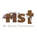 My Savior Testimonies