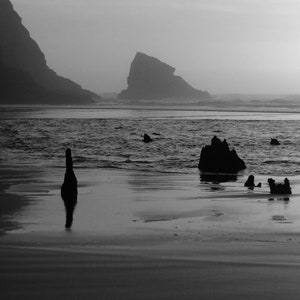 Neskowin Ghost Forest at Dusk digital print download