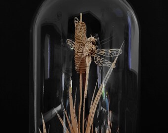 Dragonfly (Anax Emperor) and his Reed