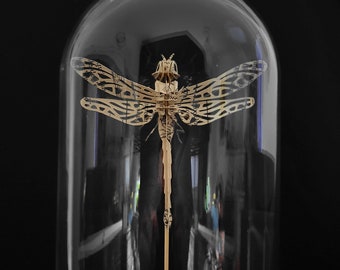 Dragonfly (Emperor Anax)