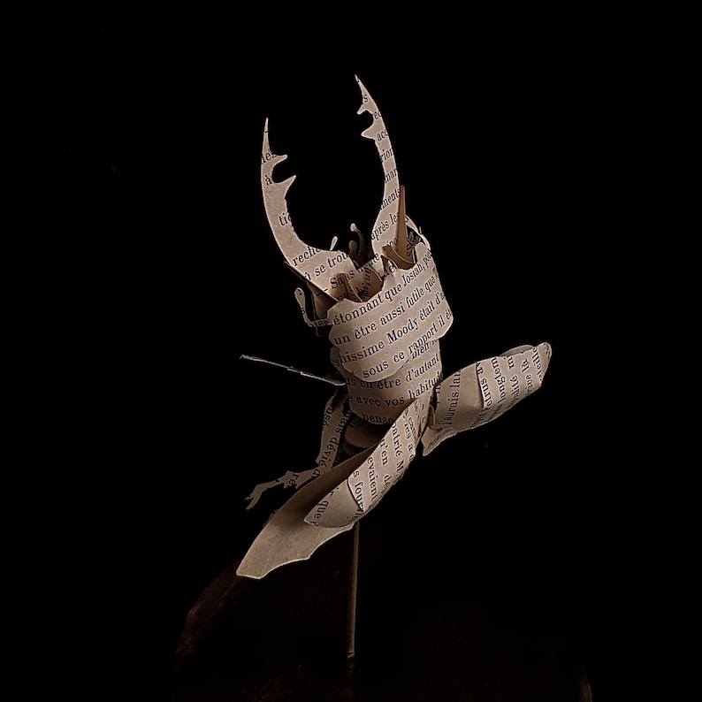 Lucane Cert-Volant Lucanus cervus
