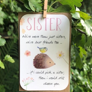 Special Sister, Inspirational, Thoughtful, Positive Message Birthday Card for Sister, Gift Tag, Keepsake, Small Gift, Hedgehog