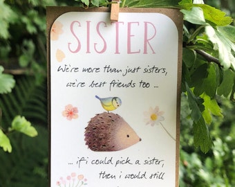 Special Sister, Inspirational, Thoughtful, Positive Message Birthday Card for Sister, Gift Tag, Keepsake, Small Gift, Hedgehog