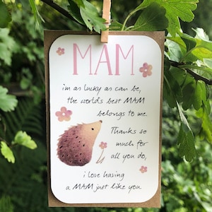 Tarjeta Mamá, Mamá Especial, Mejor Mamá, Día de la Madre, Etiqueta de Regalo, Recuerdo, Pequeño Regalo, Inspirador, Mensaje Reflexivo, Tarjeta de Cumpleaños, Erizo