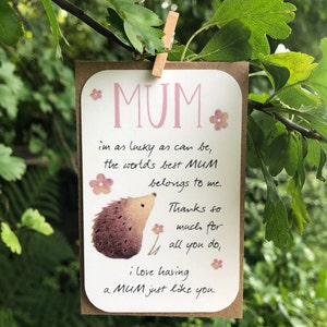 Mama Karte, Besondere Mama, Beste Mama, Muttertag, Geschenkanhänger, Andenken, Kleines Geschenk, Inspiration, nachdenkliche Botschaft, Geburtstagskarte, Igel