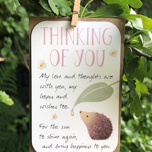 Denken aan jou, Inspirerend, Attent, Positief Verjaardagskaart, Speciale vriend, Speciaal Persoon, Cadeaulabel, Aandenken, Klein Cadeau, egel
