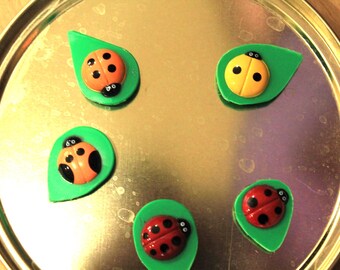 5 imanes de mariquita para el refrigerador