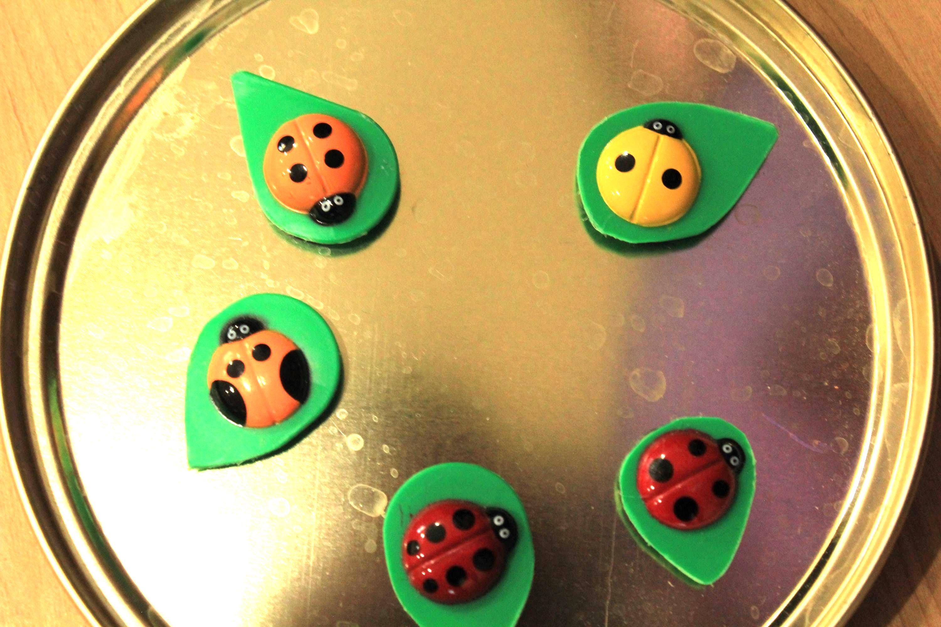 5 Ladybug Refrigerator Magnets - Etsy