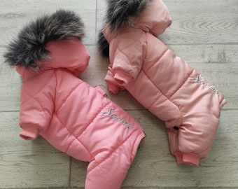 Dog Winter Clothes - overall zipper - Snowsuit - Dog Full Body Suit - Custom fit jumpsuit jumper customize clothing - Chinese Crested