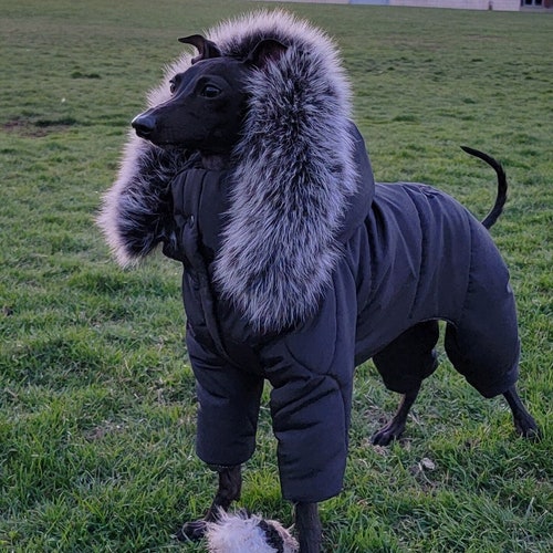 Dog Winter Suit
 Dog Winter Clothes Overall Snowsuit Dog Full Body Suit Etsy